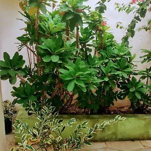  Apartamento Carla República Dominicana